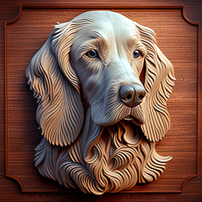 3D model st Scottish Setter dog (STL)